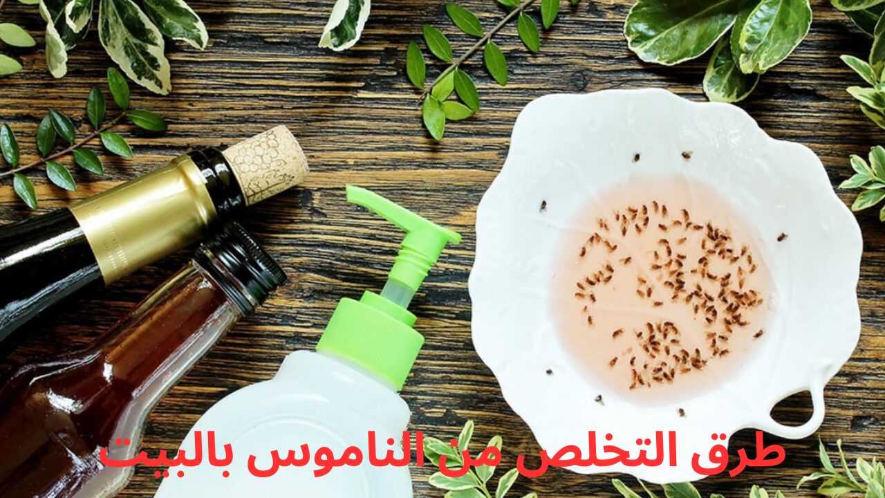 وصفة ناجحة لطرد الناموس والتخلص منه نهائياً من المنزل ومش هتلاقي ولا ناموسة في بيتك