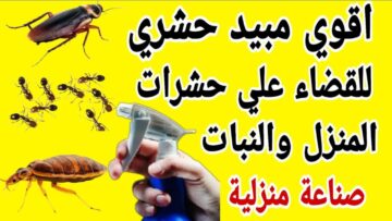 مبيد منزلي للحشرات بمكونات طبيعية مش هتكلفك كتير ومش هتضر أطفالك ولا صراصير ولا نمل في بيتك تاني