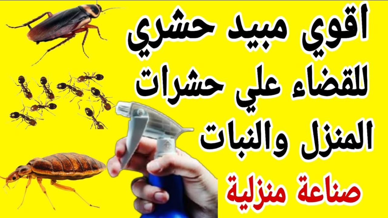 مبيد منزلي للحشرات بمكونات طبيعية مش هتكلفك كتير ومش هتضر أطفالك ولا صراصير ولا نمل في بيتك تاني
