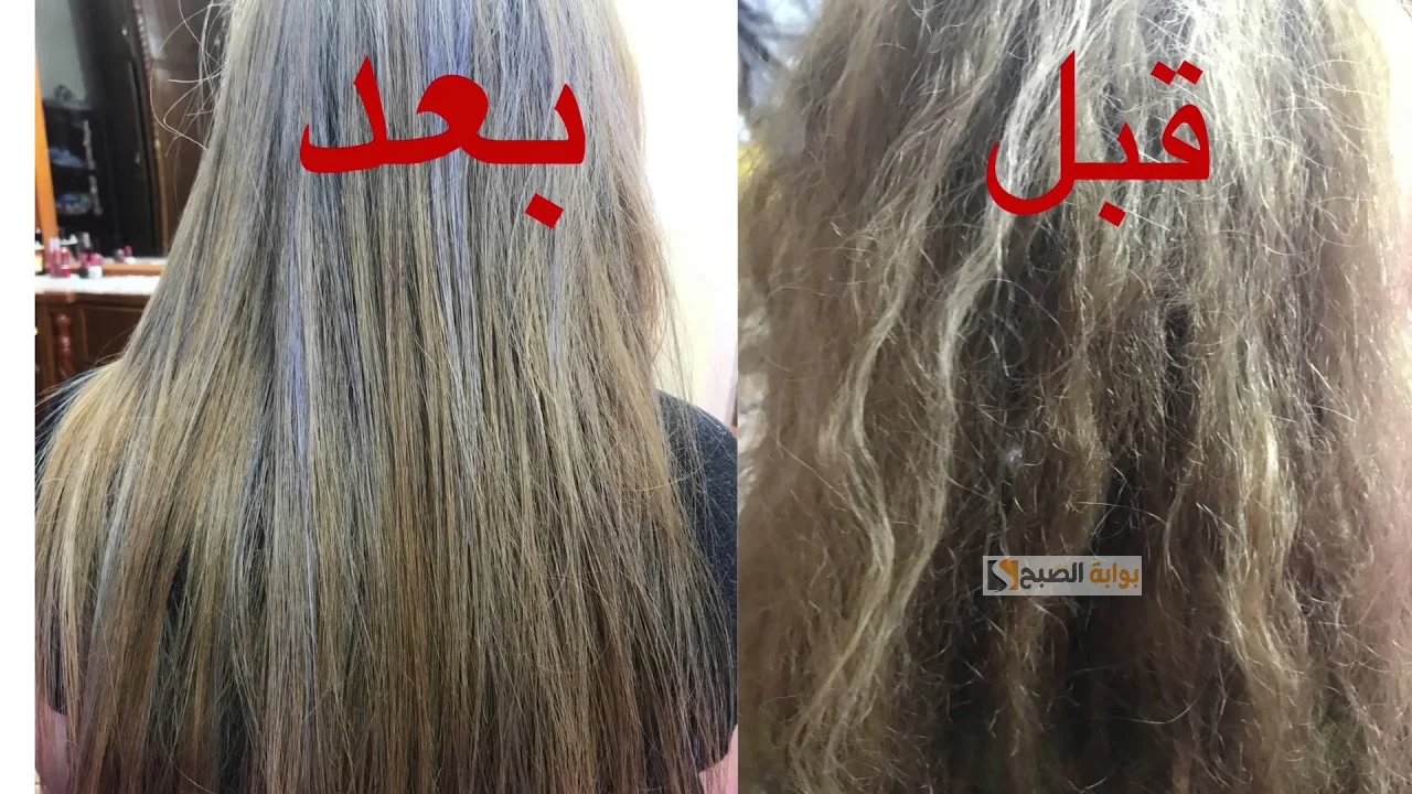 أفضل وصفة طبيعية لإصلاح الشعر التالف وعلاج التقصف .. امتلكي “شعر انسيابي بدون هيشان”