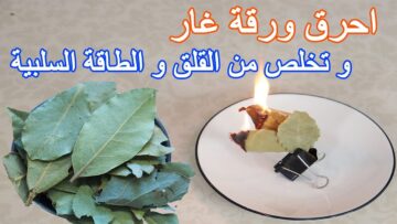 لن تصدقي ماذا يحدث عند حرق ورق الغار في المنزل لو عرفتم السر لفعلتم ذلك الشئ بشكل يومياً 