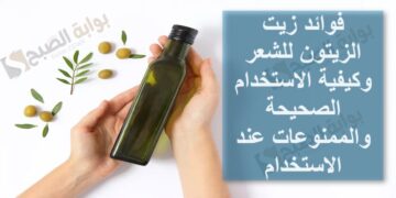 فوائد زيت الزيتون للشعر وكيفية الاستخدام الصحيحة والممنوعات عند الاستخدام