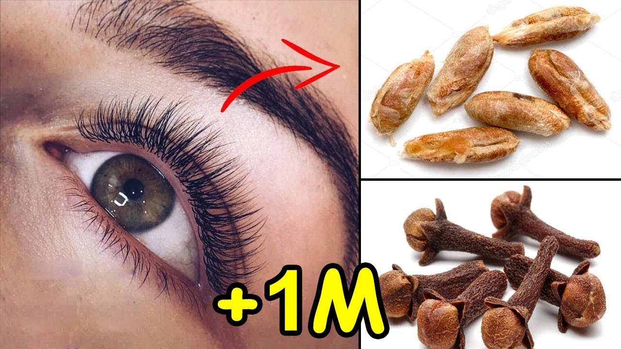 جمالك اولا.!! كيفية اطالة الرموش بشكل طبيعي 5 جمالك اولا.!! كيفية اطالة الرموش بشكل طبيعي