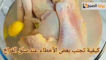 احذري تجنب بعض الأخطاء عند سلق الفراخ.. لن تخطر في بالك
