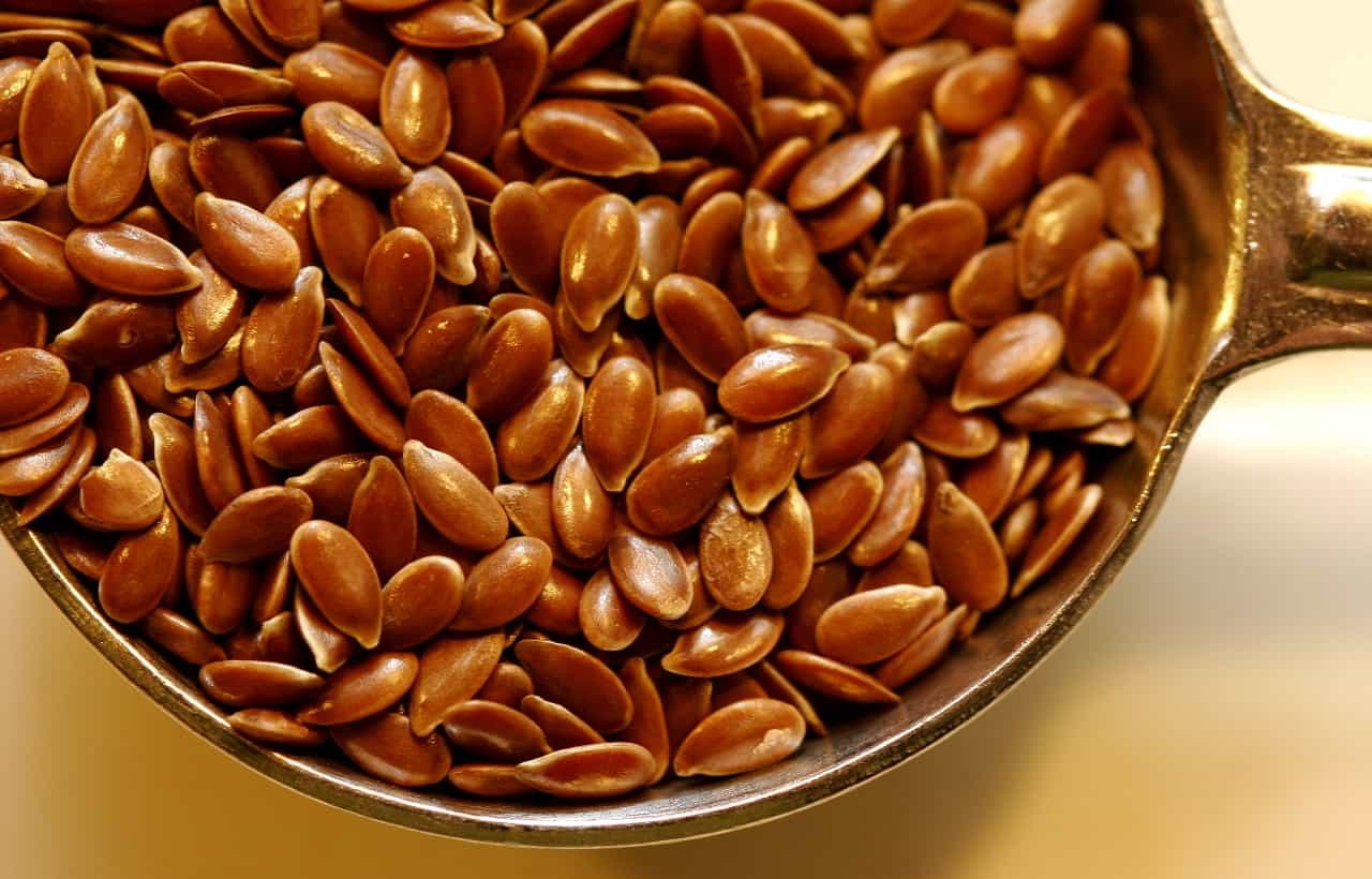 كيكة بطعم مختلف وصحية ولذيذة.. كيكة بذور الكتان الهشة والسريعة 5 كيكة بطعم مختلف وصحية ولذيذة.. كيكة بذور الكتان الهشة والسريعة