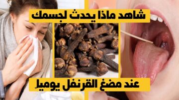 ماذا يحدث عند مضغ حبة من القرنفل يوميًا وما تأثيره على الجسم؟