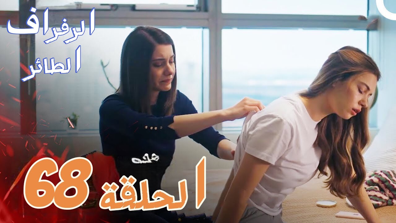 مسلسل طائر الرفراف الحلقة 68 مترجمة والقنوات الناقلة للمسلسل على الاقمار الصناعية نايل سات وعرب سات 5 مسلسل طائر الرفراف الحلقة 68 مترجمة والقنوات الناقلة للمسلسل على الاقمار الصناعية نايل سات وعرب سات