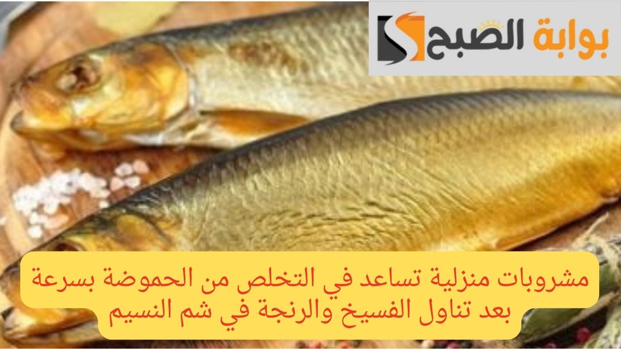 مشروبات منزلية تساعد في التخلص من الحموضة بسرعة بعد تناول الفسيخ والرنجة في شم النسيم 5 مشروبات منزلية تساعد في التخلص من الحموضة بسرعة بعد تناول الفسيخ والرنجة في شم النسيم