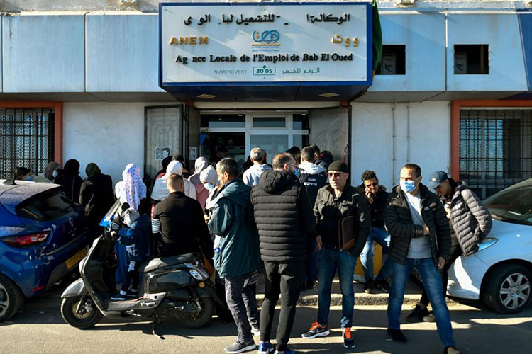 خطوات التسجيل في منحة البطالة بالجزائر 2024 والمستندات المطلوبة 5 خطوات التسجيل في منحة البطالة بالجزائر 2024 والمستندات المطلوبة