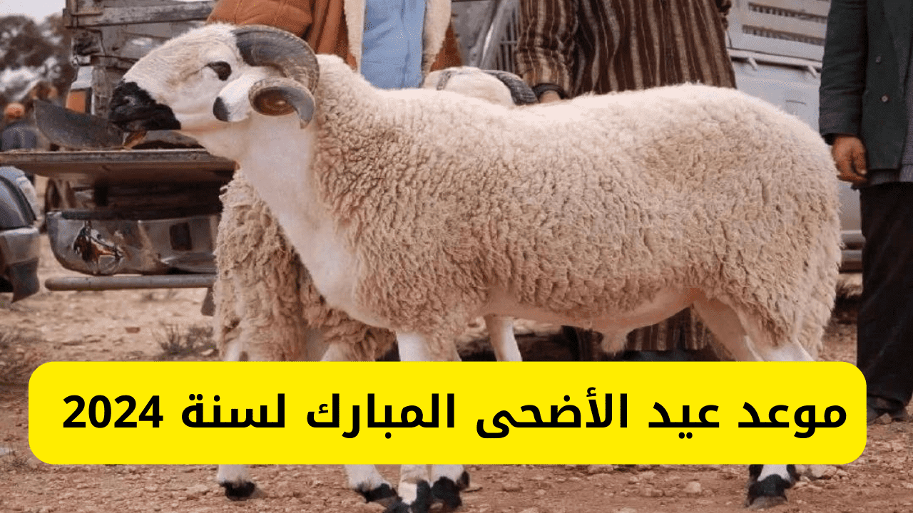 موعد عيد الأضحى ووقفة عرفات 2024 فلكيًا وغرة شهر ذي الحجة 5 موعد عيد الأضحى ووقفة عرفات 2024 فلكيًا وغرة شهر ذي الحجة