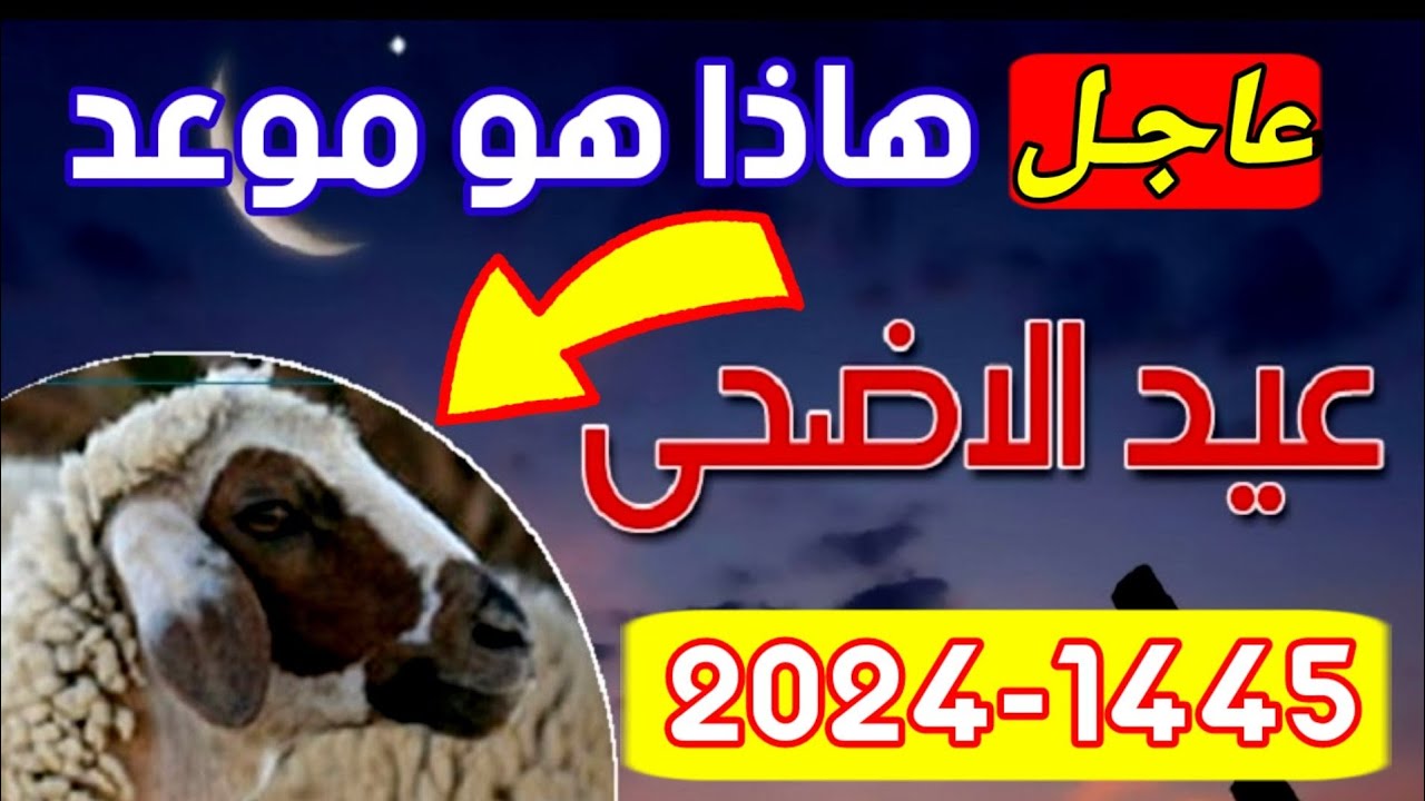 العيد امتى .. موعد عيد الأضحى المبارك 2024 في مصر ووقفة عرفات وعدد أيام الإجازة الرسمية للعاملين بالدولة 5 العيد امتى .. موعد عيد الأضحى المبارك 2024 في مصر ووقفة عرفات وعدد أيام الإجازة الرسمية للعاملين بالدولة