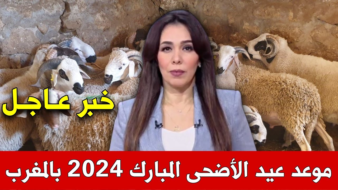 "بدء العد التنازلى" البحوث الفلكية تحدد موعد عيد الاضحى المبارك بالمغرب 1445/2024 وقائمة العطل الرسمية حتى نهاية العام 5 “بدء العد التنازلى” البحوث الفلكية تحدد موعد عيد الاضحى المبارك بالمغرب 1445/2024 وقائمة العطل الرسمية حتى نهاية العام