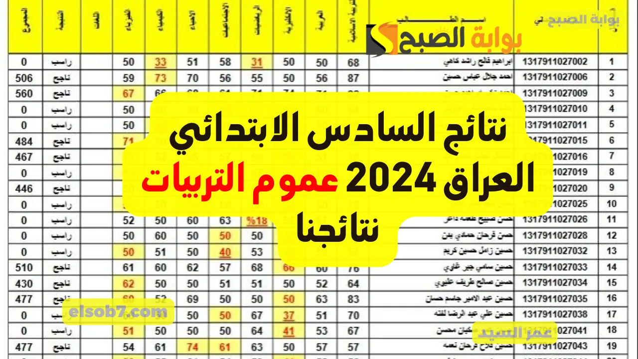 التربيات المتبقية.. نتائج السادس الابتدائي 2024 Mlazemna الدور الأول وزارة التربية العراقية