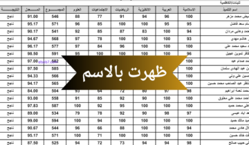 رابط حصري .. نتائج السادس الابتدائي 2024 الرصافة الثانية بالاسم والرقم الامتحاني