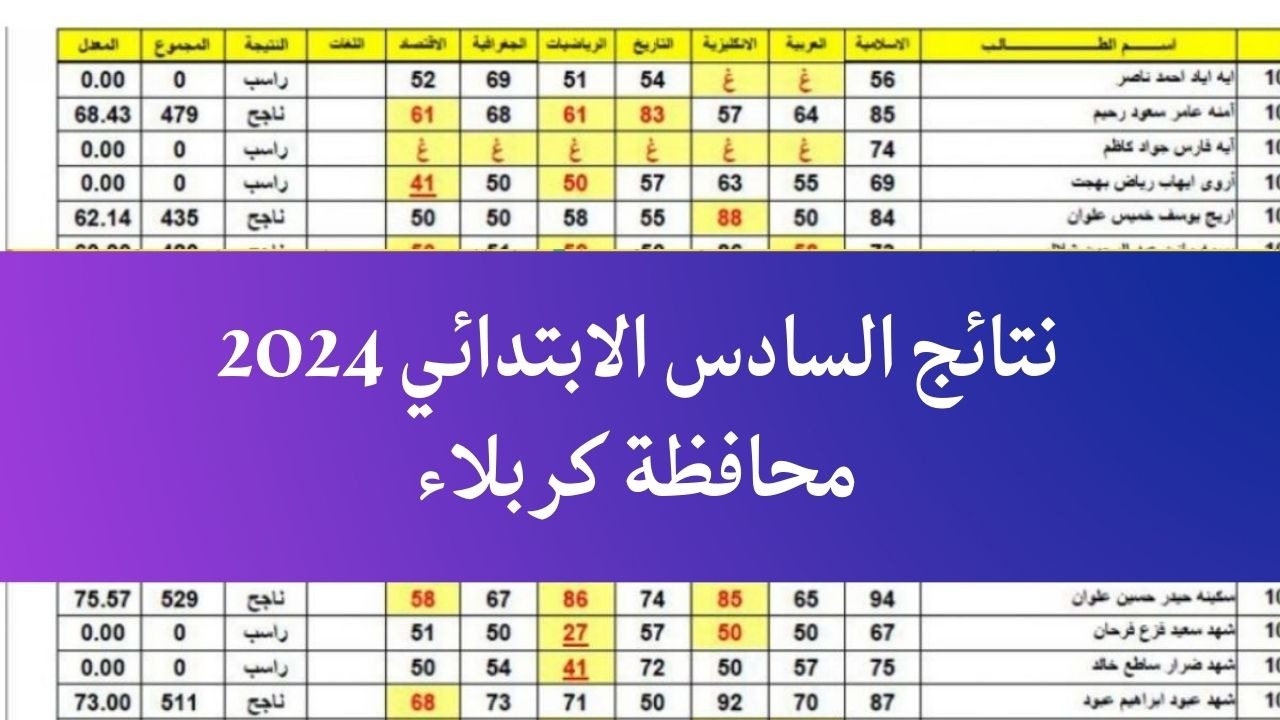 “ظهرت رسميًا”.. رابط الاستعلام عن نتائج السادس الابتدائي تربية كربلاء المقدسة الدور الأول 2024