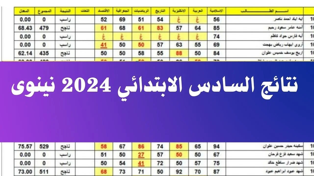 نزلها PDF.. رابط استعلام نتائج السادس الابتدائي 2024 نينوي الدور الأول وجميع محافظات العراق