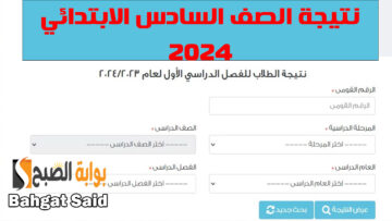 ألف مبروك للناجحين.. نتائج الصف السادس الابتدائي أخر العام 2024