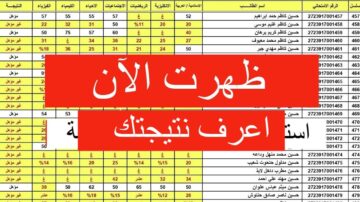 “نينوى وجميع المحافظات”.. نتائج الصف السادس الابتدائي العراق الدور الأول 2024 موقع الوزارة ونتائجنا