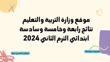 بوابة التعليم الأساسي eduserv.cairo.gov.eg نتيجة الصف الرابع والخامس والسادس الابتدائي بالاسم ورقم الجلوس 2024 ترم ثاني