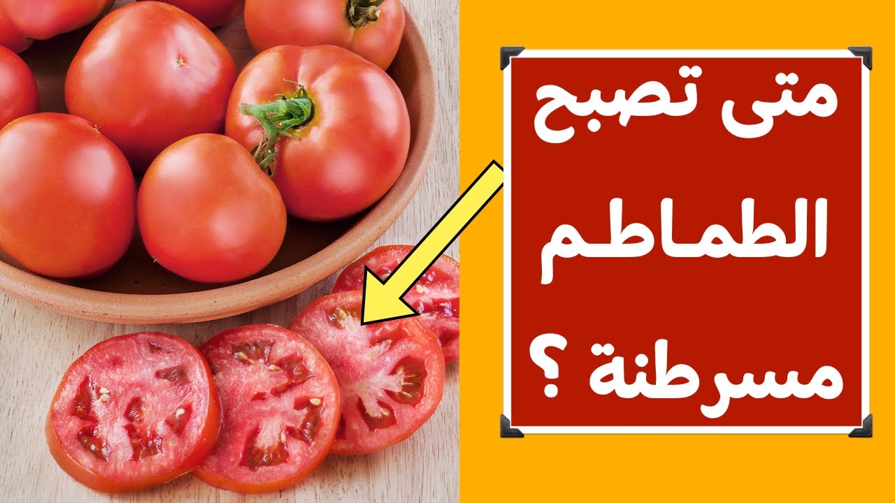 “تسبب الاصابة بمرض السرطان” احذر من شراء هذا النوع من الطماطم الضارة وبعض النصائح المهمة عند شراء الطماطم