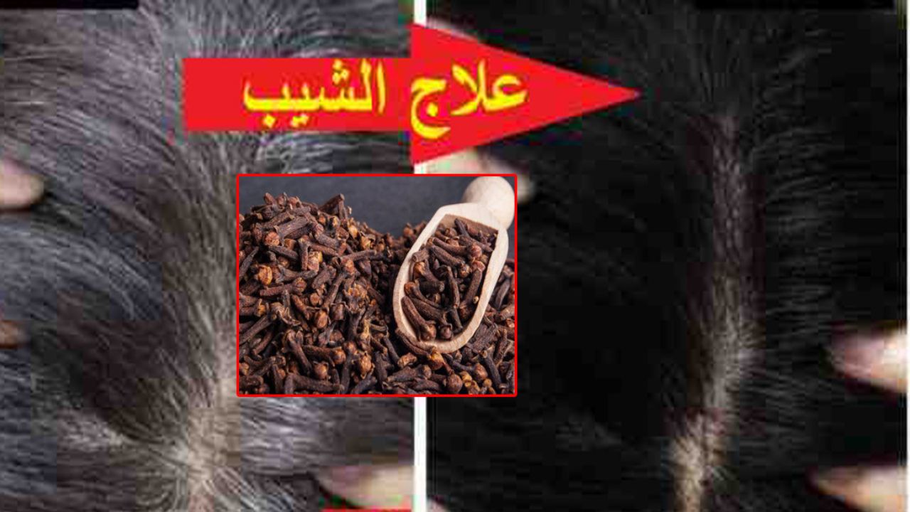 وصفات جبارة للتخلص من شيب الشعر المبكر من غير صبغات ولا مواد كيماوية وبخطوات سهلة 5 وصفات جبارة للتخلص من شيب الشعر المبكر من غير صبغات ولا مواد كيماوية وبخطوات سهلة