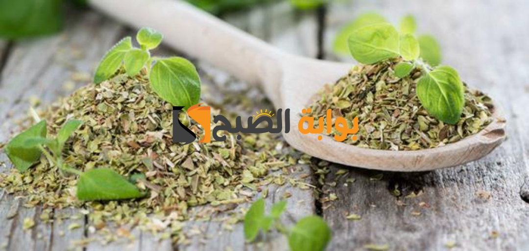 وصفة البردقوش للتخسيس وتنحيف الجسم تعرف على فوائدها الصحية 5 وصفة البردقوش للتخسيس وتنحيف الجسم تعرف على فوائدها الصحية