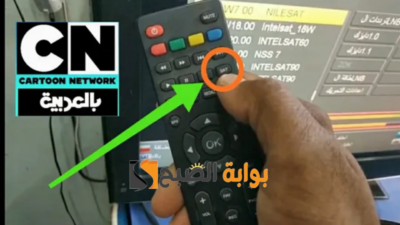 "ثبت CN Arabia".. تردد قناة كرتون نتورك بالعربية 2024 لمتابعة برامج الأطفال مجانا على النايل سات 5 “ثبت CN Arabia”.. تردد قناة كرتون نتورك بالعربية 2024 لمتابعة برامج الأطفال مجانا على النايل سات