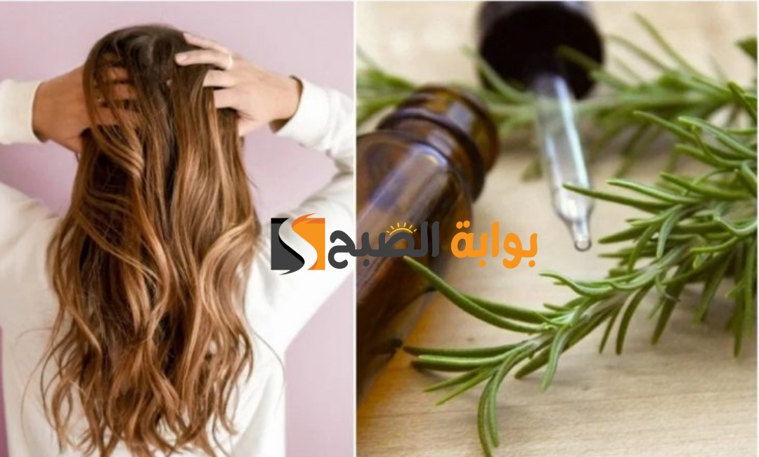 طريقة استخدام زيت اكليل الجبل للشعر وصفات طبيعية فعالة للتطويل والكثافة 5 طريقة استخدام زيت اكليل الجبل للشعر وصفات طبيعية فعالة للتطويل والكثافة
