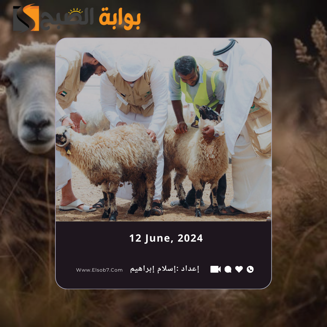 أماكن ذبح الأضاحي في جدة 2024 ونقاط بيع الأضحية 1445 5 أماكن ذبح الأضاحي في جدة 2024 ونقاط بيع الأضحية 1445