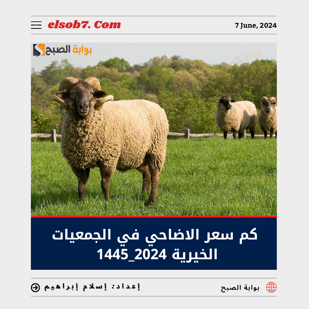 كم سعر الأضاحي في الجمعيات الخيرية 2024 – 1445 في السعودية 5 كم سعر الأضاحي في الجمعيات الخيرية 2024 – 1445 في السعودية