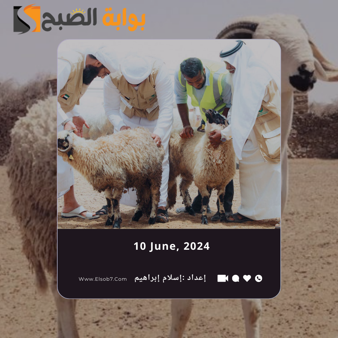 أماكن ذبح الأضاحي في الرياض 2024 ومواقع المسالخ الاهلية في العاصمة 5 أماكن ذبح الأضاحي في الرياض 2024 ومواقع المسالخ الاهلية في العاصمة