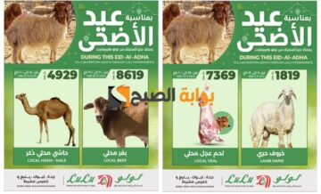 بمناسبة عيد الأضحى المبارك..أقوى عروض لولو جدة على الأضاحي “فرصة رائعة للتوفير” 