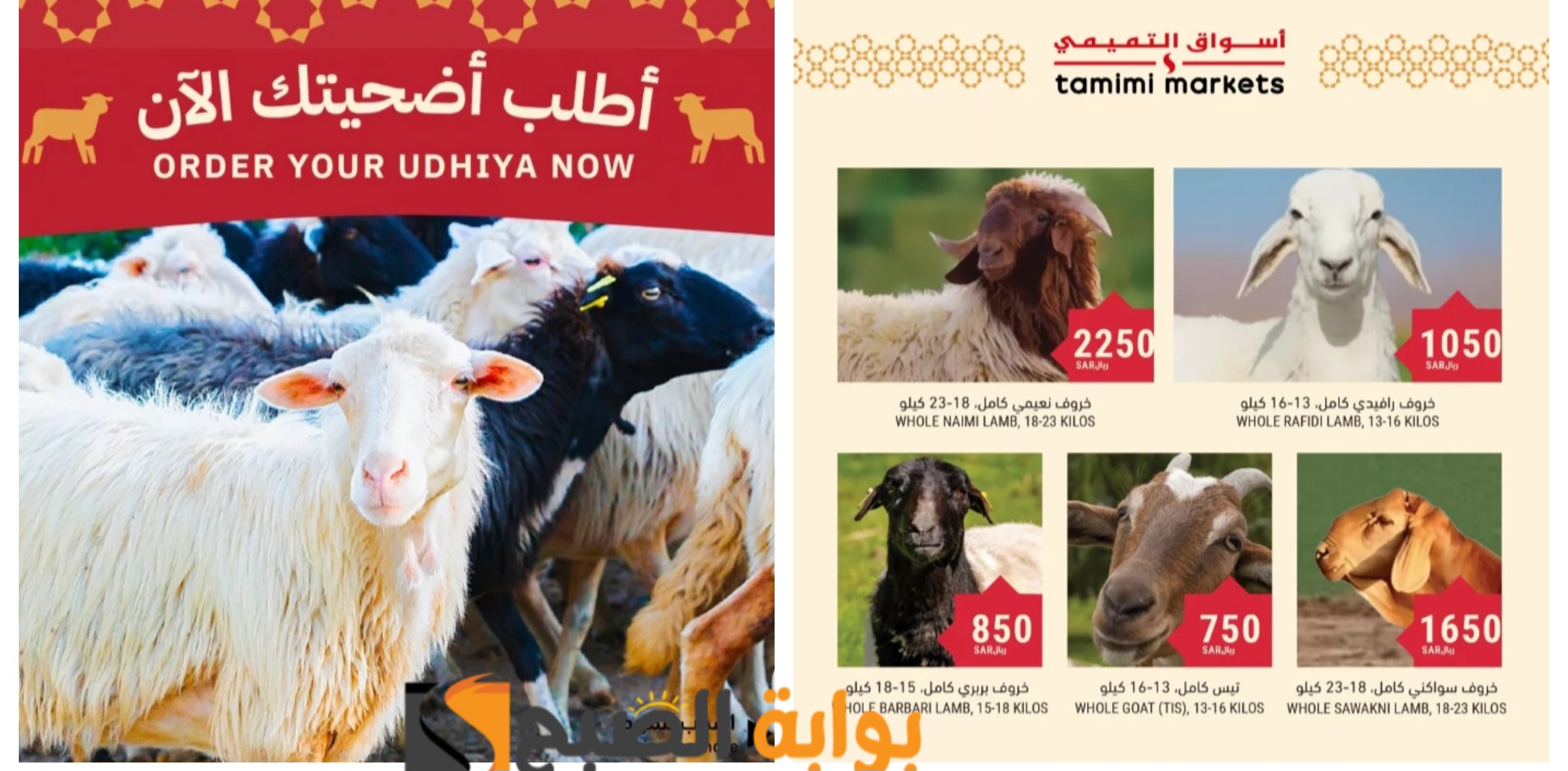 "اغتنموا الفرصة"..أفضل عروض أسواق التميمى السعودية على أنواع الأضاحي المختلفة بمناسبة عيد الاضحى المبارك 5 “اغتنموا الفرصة”..أفضل عروض أسواق التميمى السعودية على أنواع الأضاحي المختلفة بمناسبة عيد الاضحى المبارك