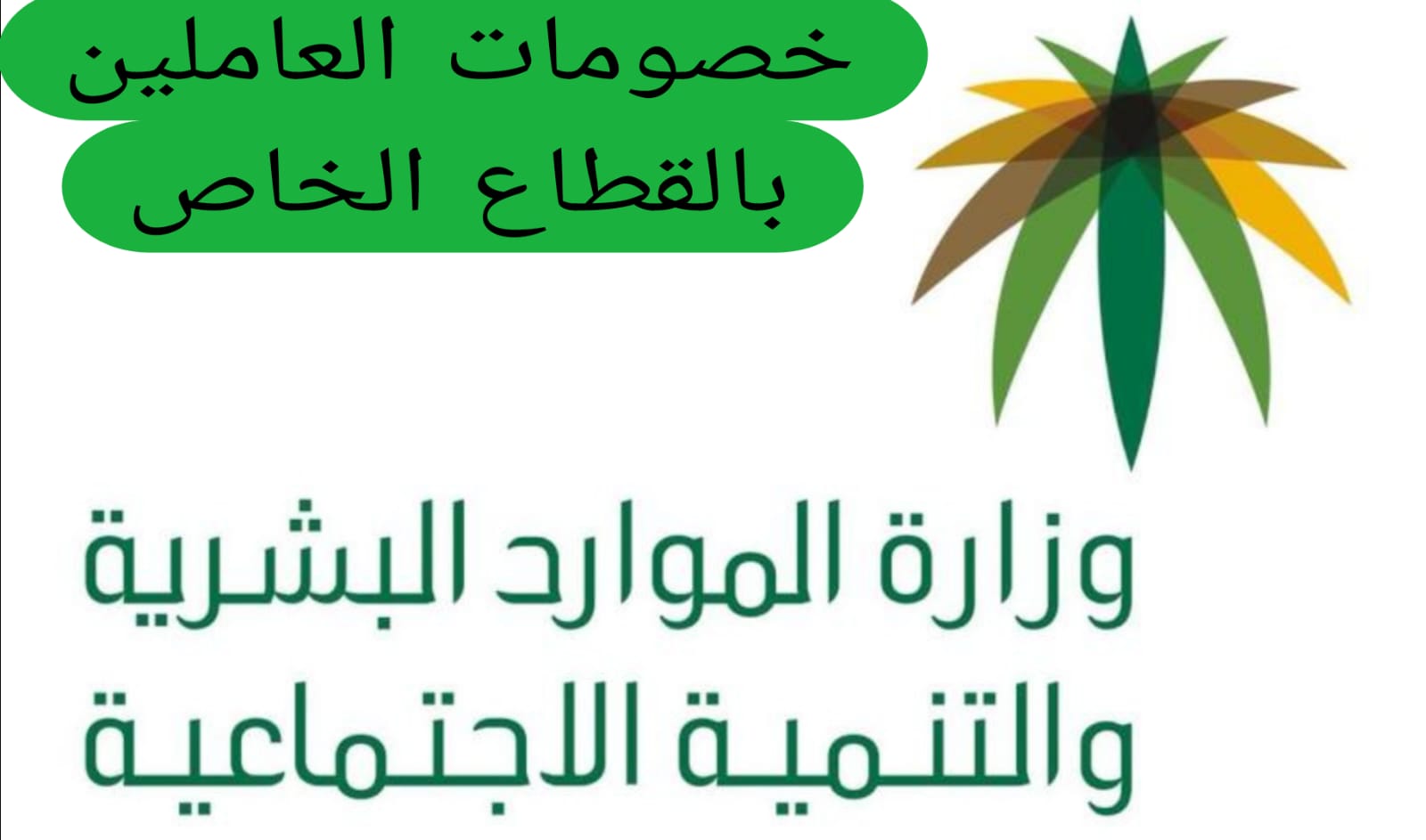 ما هي قيمة الخصومات من الراتب للعاملين في القطاع الخاص.. الموارد البشرية تجيب 5 ما هي قيمة الخصومات من الراتب للعاملين في القطاع الخاص.. الموارد البشرية تجيب