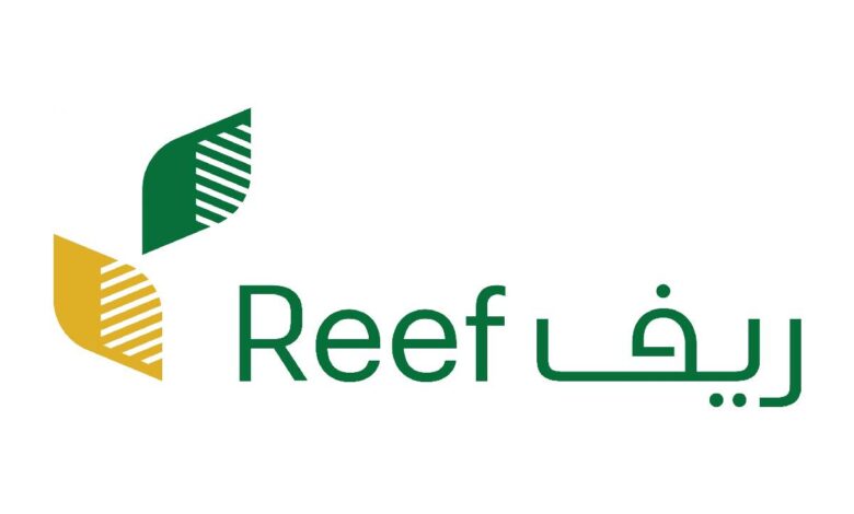 خطوات تغير رقم الجوال في برنامج ريف وما هى شروط التسجيل 5 خطوات تغير رقم الجوال في برنامج ريف وما هى شروط التسجيل