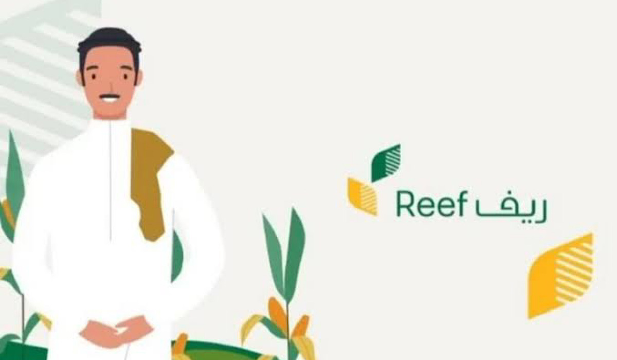 تعرف علي موعد نزول دعم ريف شهر يوليو 2024 وشروط التقديم