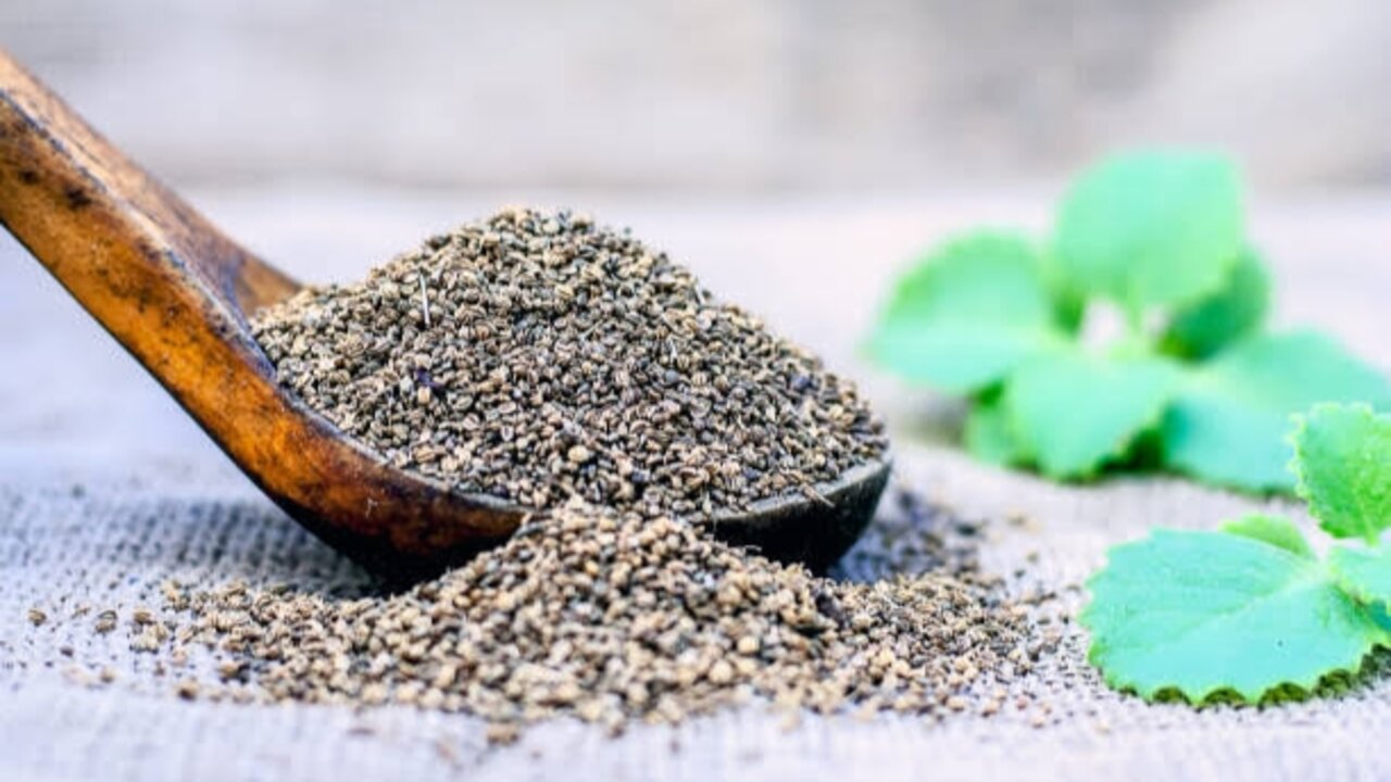 حجمها ضئيل لكن مفعولها عملاق.. نوع من البذور الصغيرة يحتوي على أسرار طبيعية ستجعلك لا تستغنى عنها 5 حجمها ضئيل لكن مفعولها عملاق.. نوع من البذور الصغيرة يحتوي على أسرار طبيعية ستجعلك لا تستغنى عنها