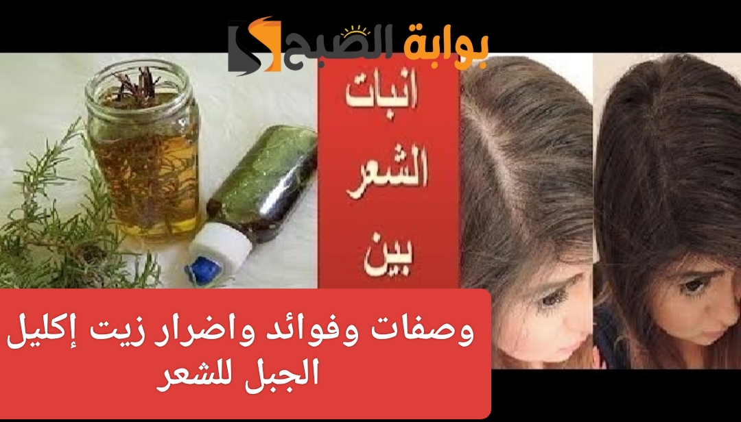 وصفات زيت إكليل الجبل للشعر فوائده وأضراره وكيفية استخدامه بشكل صحيح 5 وصفات زيت إكليل الجبل للشعر فوائده وأضراره وكيفية استخدامه بشكل صحيح