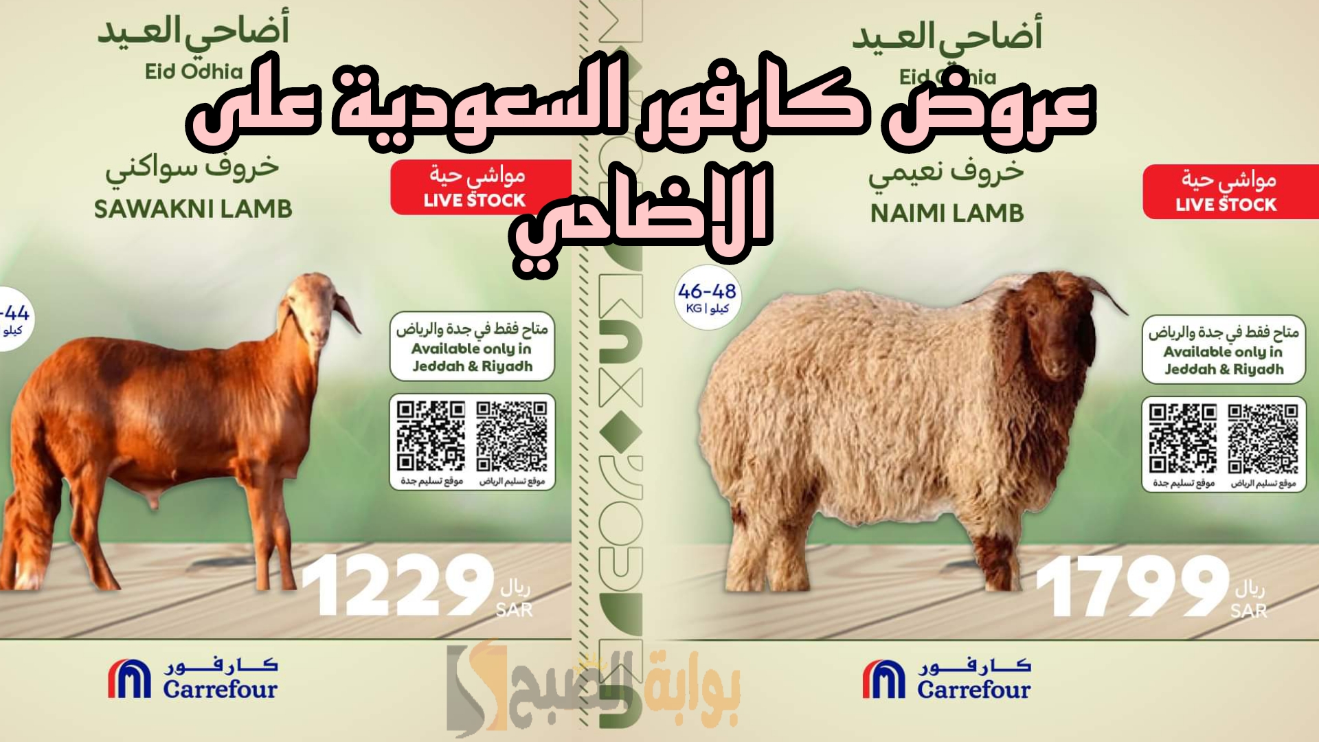 "اسعار لا تفوت".. عروض كارفور السعودية على الاضاحي بداية من 6 يونيو حتى ليلة عيد الاضحى 5 “اسعار لا تفوت”.. عروض كارفور السعودية على الاضاحي بداية من 6 يونيو حتى ليلة عيد الاضحى