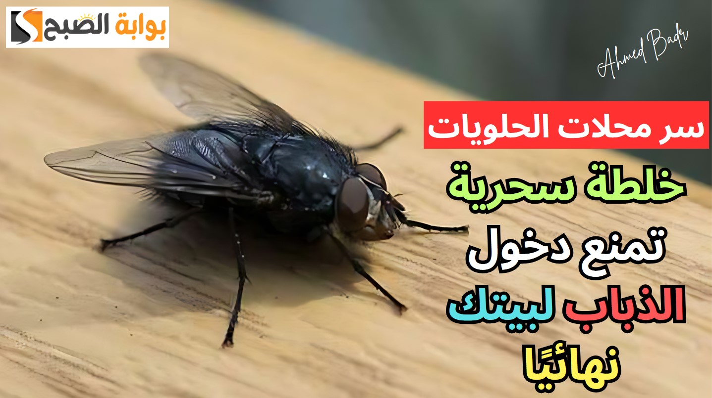 مش هتلمحيهم فبيتك تاني.. خلطة سحرية تمنع دخول الذباب لبيتك نهائيًا سر محلات الحلويات 5 مش هتلمحيهم فبيتك تاني.. خلطة سحرية تمنع دخول الذباب لبيتك نهائيًا سر محلات الحلويات