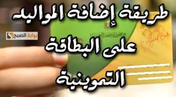متاح الآن ل4 فئات.. إضافة المواليد الجدد على بطاقة التموين 2024 بالرقم القومي tamwin.com.eg