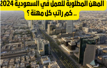الموارد توضح.. قيمة راتب العاملين في المهن المطلوبة بالمملكة