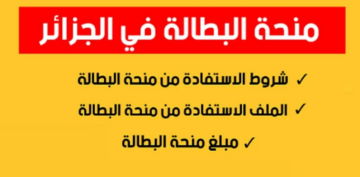 تعرف على خطوات التسجيل وأهم شروط منحة البطالة 2024 في جزائر