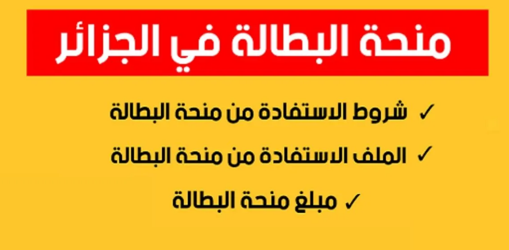 تعرف على خطوات التسجيل وأهم شروط منحة البطالة 2024 في جزائر 5 تعرف على خطوات التسجيل وأهم شروط منحة البطالة 2024 في جزائر