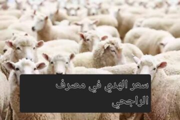 مع اقتراب موسم الحج.. تعرف على سعر الهدي في مصرف الراجحي 1445 والخطوات المطلوبة للشراء