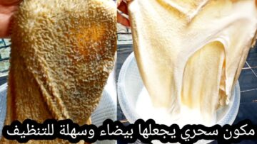 هتبقي قشطة في ايديك.. سر تنظيف الكرشه من الزفارة والسواد بمكون سحري في مطبخك بدون تعب ولا مجهود