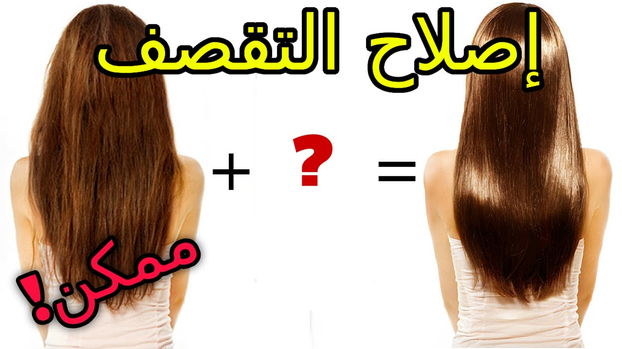 ما هي أهم 5 أسباب لتقصف الشعر..وطريقة تحضير أفضل شامبو طبيعي لترطيبه 5 ما هي أهم 5 أسباب لتقصف الشعر..وطريقة تحضير أفضل شامبو طبيعي لترطيبه