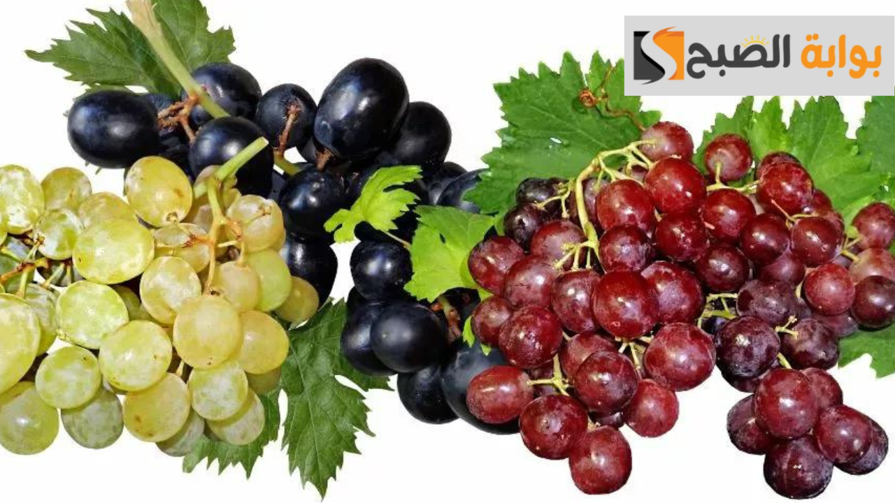 كيف يؤثر تناول العنب صباحًا على الجسم؟ معلومات تهمك 5 كيف يؤثر تناول العنب صباحًا على الجسم؟ معلومات تهمك