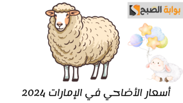 أسعار الأضاحي في الإمارات 2024..  وزارة البلدية والزراعة توضح كيفية حجز موعد الذبح