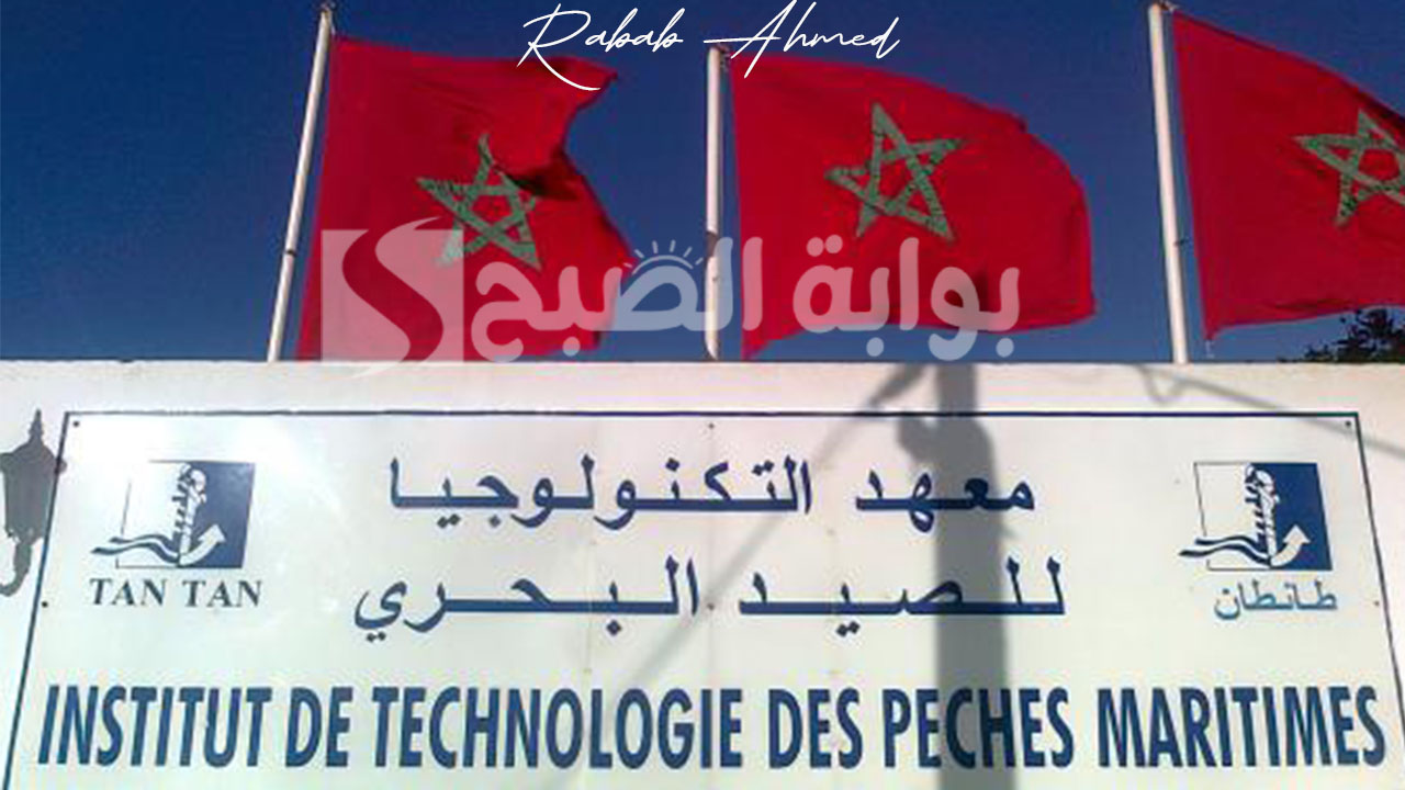 شروط التسجيل في معهد الصيد البحري 2024/2025 والمهارات المكتسبة